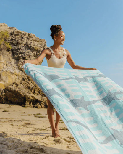 Frilled Shark