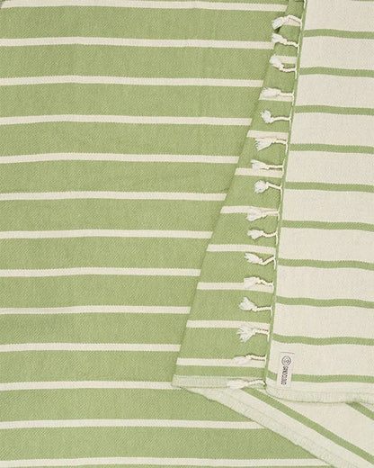 Micro Set Stripe - Fern