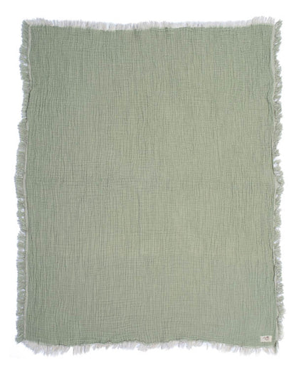 Little Fishies Gauze Receiving Blanket - Sage