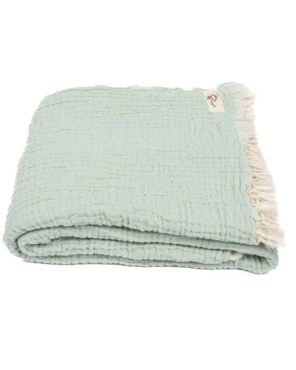 Little Fishies Gauze Receiving Blanket - Seafoam